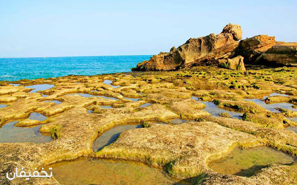 سواحل جزیره ناز مملو از صدف‌های رنگی و عروس دریایی است