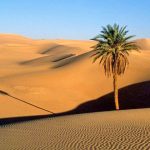 کویر مصر کجاست؛ بررسی شرایط اقامت و آب و هوا + تفریحات 31 146045315916260098