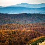 جنگل راش کجاست | شرایط کمپ و اقامت | عکس پاییز جنگل | آدرس 35 جنگل راش