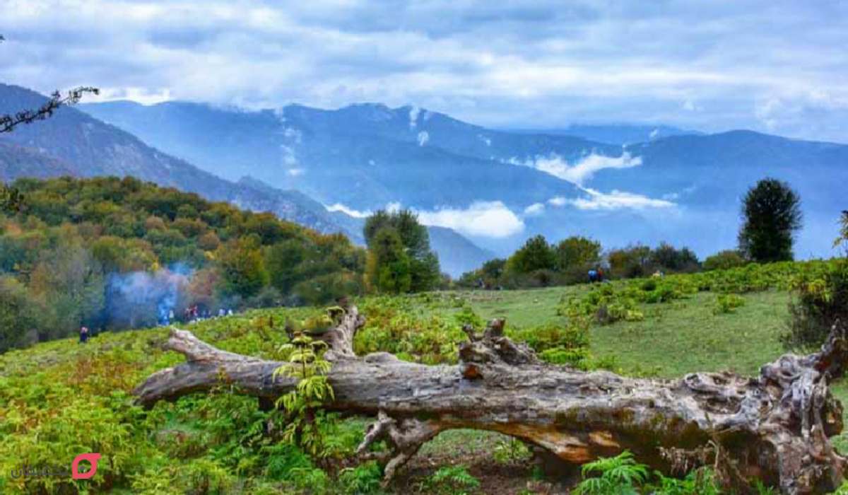 مسیر پیاده روی جنگل الیمستان