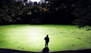 مرداب هسل کجاست؟ راهنمای سفر به مرداب هسل از تهران و چالوس