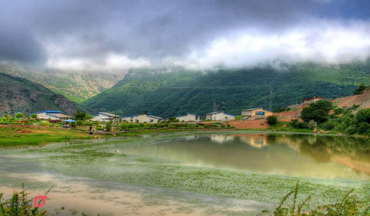 سیاه ‌بیشه