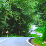 برای سفر یک روزه به شمال، کدام مناطق را انتخاب کنیم؟ 31 چالوس 1psd