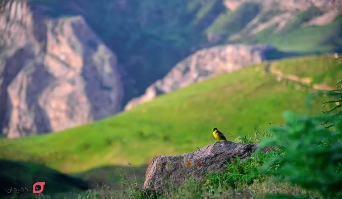 بهترین شهر ایران برای مسافرت در پاییز | در پاییز کجا بریم؟ 9 بهترین شهر ایران برای مسافرت در پاییز