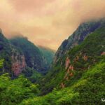 جنگل دوهزار و سه هزار | جاهای دیدنی و مسیر دسترسی روی نقشه 34 جاده دو هزار سه هزار