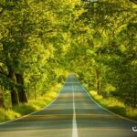 جاهای دیدنی شمال؛ 17 مقصد بی نظیر برای تمام فصول 30