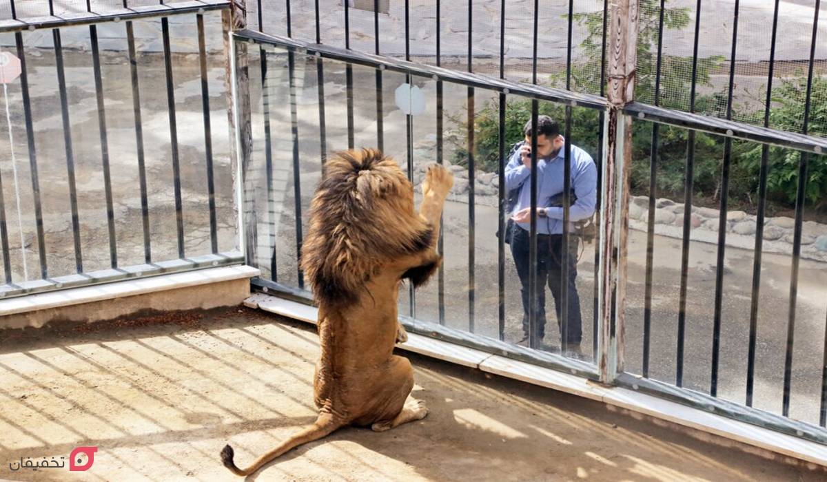باغ وحش ارم