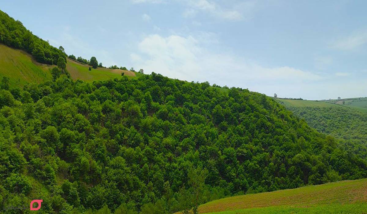 شهرستان گالیکش