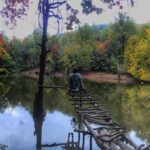 پارک جنگلی سراوان کجاست؛ قیمت ورودی مرداب سراوان رشت + عکس 35 پارک جنگلی سراوان