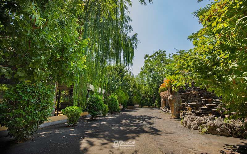 رستوران کافه های ارکیده