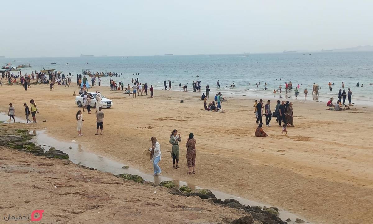 بوستان زیتون قشم