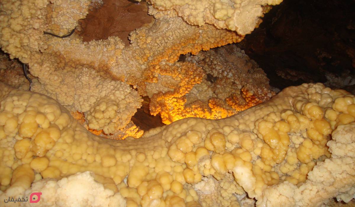 غار علیصدر کجاست؛ علیصدر چگونه کشف شد و چه موجوداتی دارد؟ 5 انتهای غار علیصدر کجاست