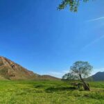 دشت هویج کجاست | مسیر دسترسی با ماشین + بهترین زمان سفر 27 دشت هویج