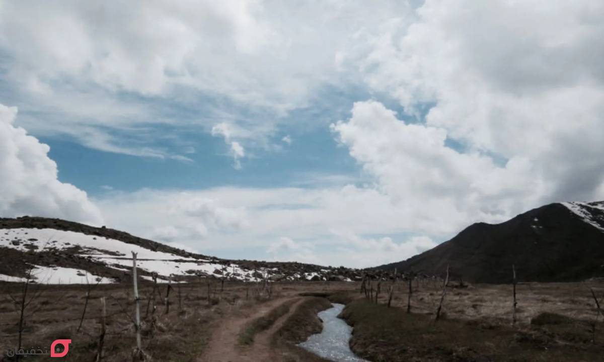 فاصله تهران تا دشت هویج