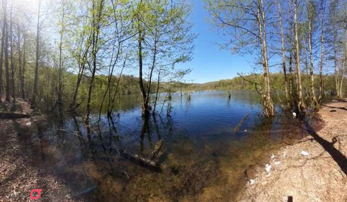 دریاچه ارواح نوشهر کجاست | آدرس + امکانات و حیوانات دریاچه 6 دریاچه ارواح نوشهر