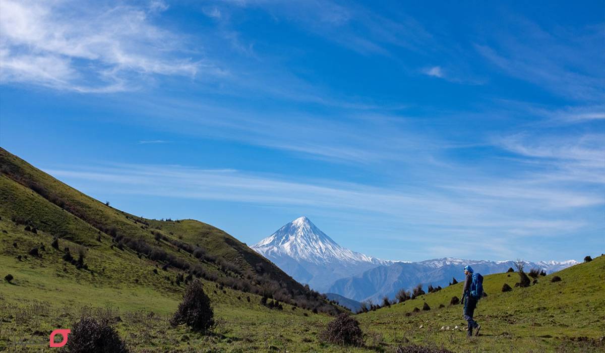 جنگل الیمستان