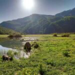 جاهای دیدنی تنکابن کجاست | 11 جاذبه دیدنی با آدرس و عکس 25 جاهای دیدنی تنکابن