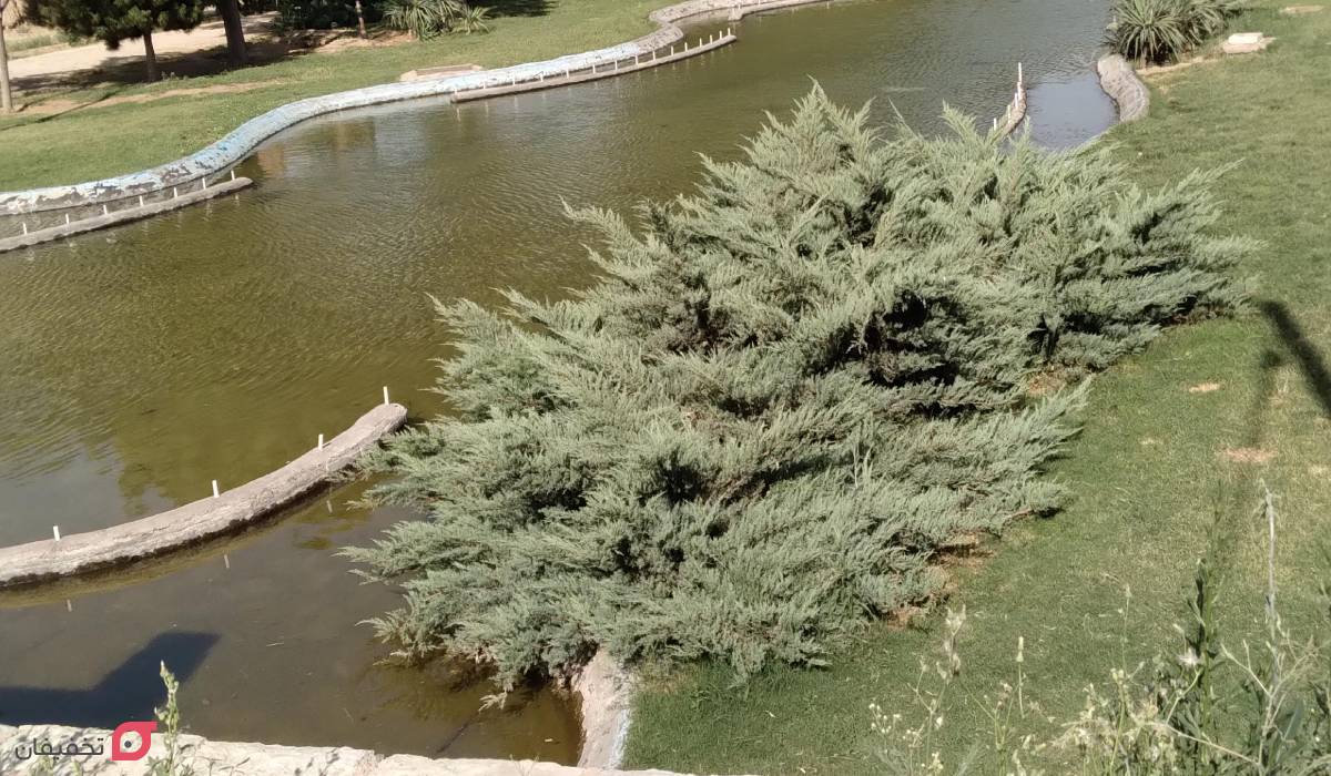 جاهای دیدنی کاشان | 15 مکان تفریحی در بهار و زمستان با عکس 11 بوستان ملت کاشان