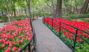 باغ ایرانی ده ونک | قیمت بلیط و ساعت کاری جشنواره لاله ها