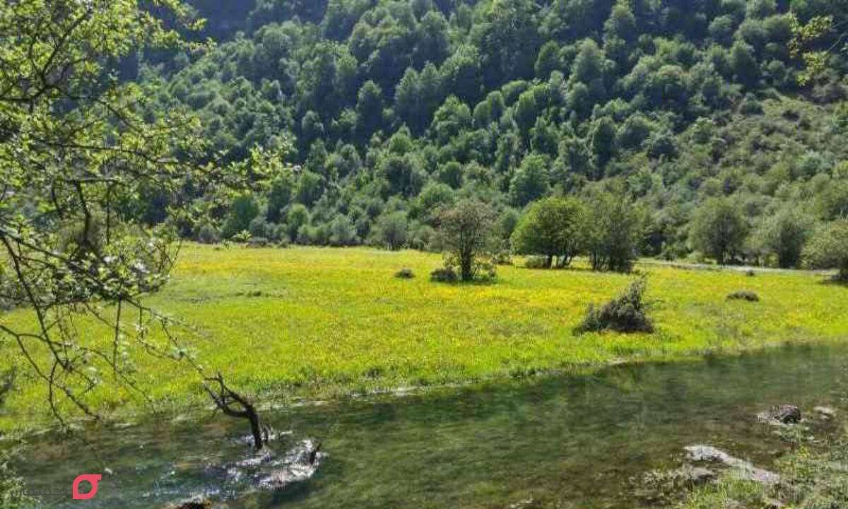 فاصله رامسر تا جنگل دوهزار