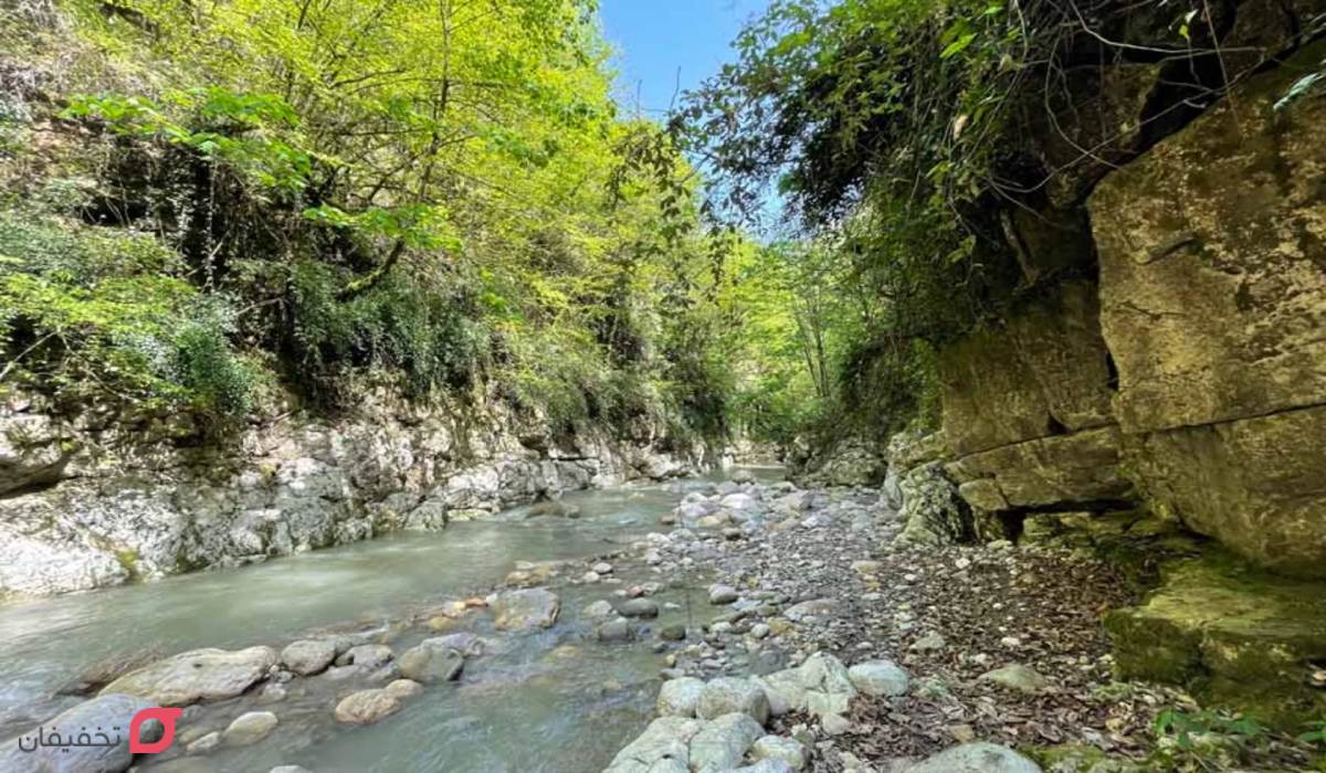 تنگه دار نوشهر را آمازون ایرا