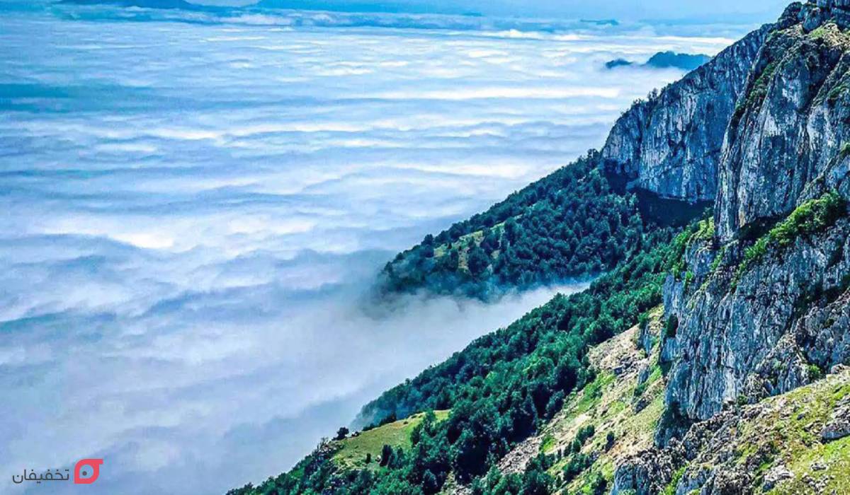 جنگل ابر شمال | 6 منطقه با اقیانوس ابر | بهترین زمان سفر 10 بهترین زمان سفر به جنگل ابر