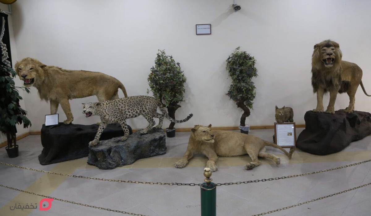 موزه تاریخ طبیعی اردبیل