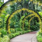 باغ گیاه شناسی تهران | قیمت بلیط 1404 | نقشه باغ | ساعت کاری 21 باغ گیاه شناسی تهران