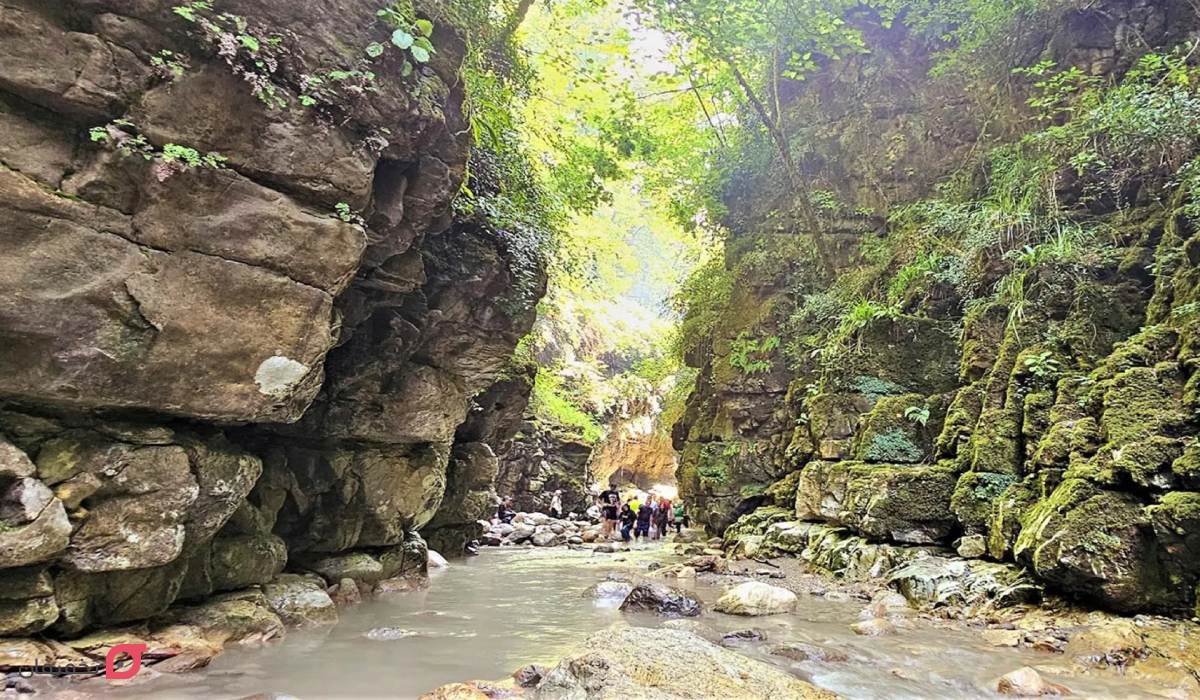 تنگه دار نوشهر | آدرس | شرایط کمپ | عکس های آمازون ایران 7 عکس تنگه دار نوشهر