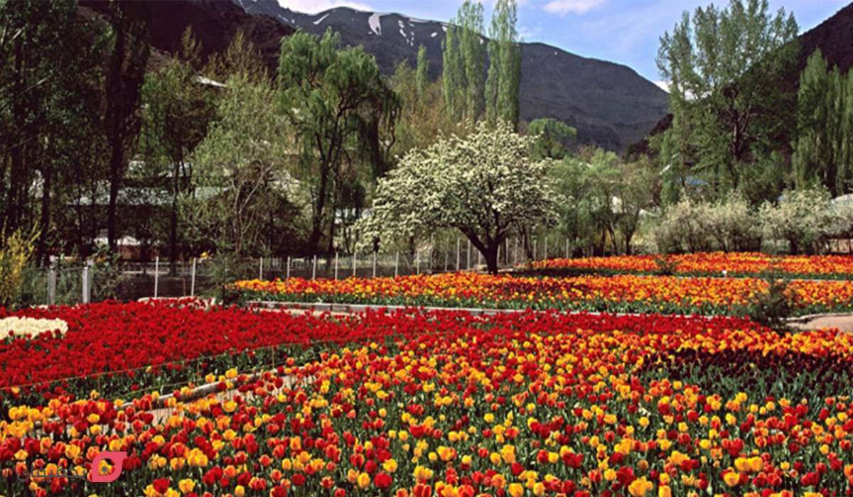 باغ گیاه شناسی تهران