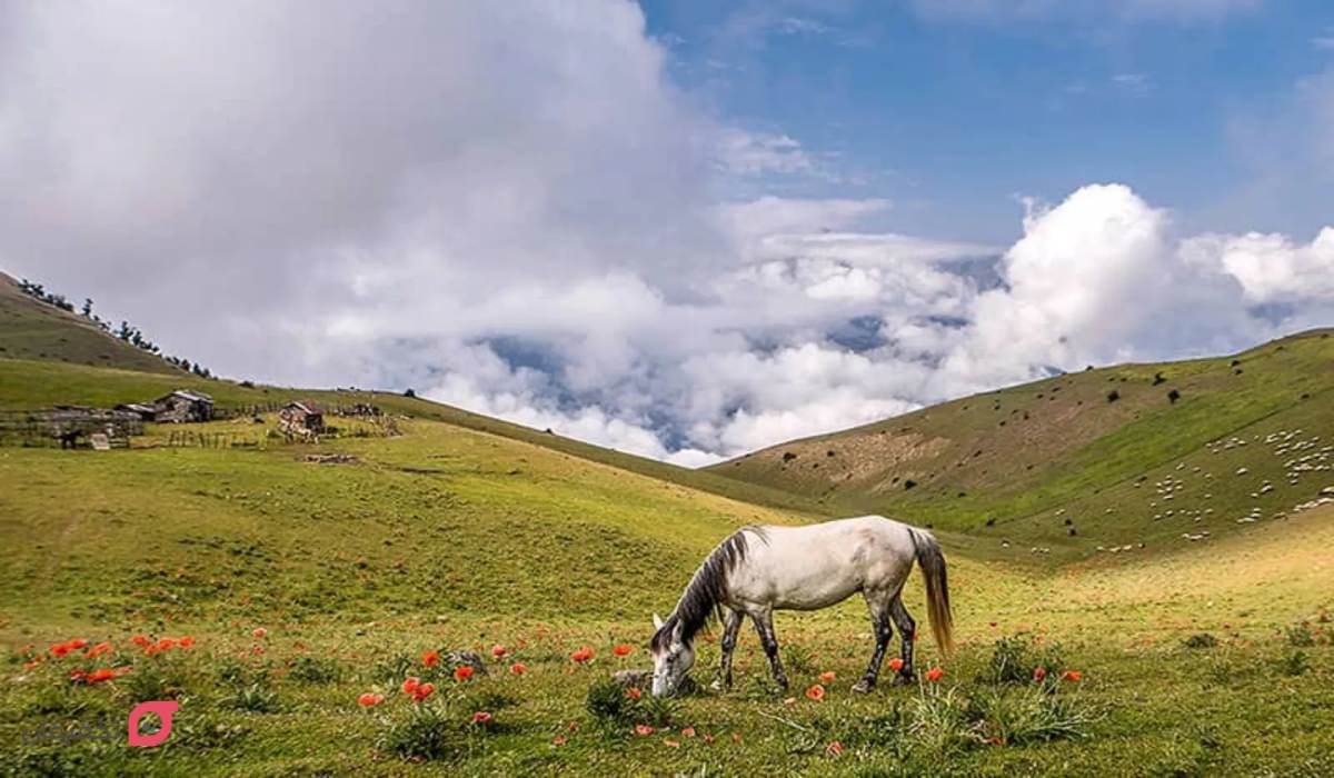 ییلاق سوباتان