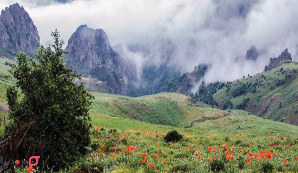 جاهای دیدنی تالش با آدرس