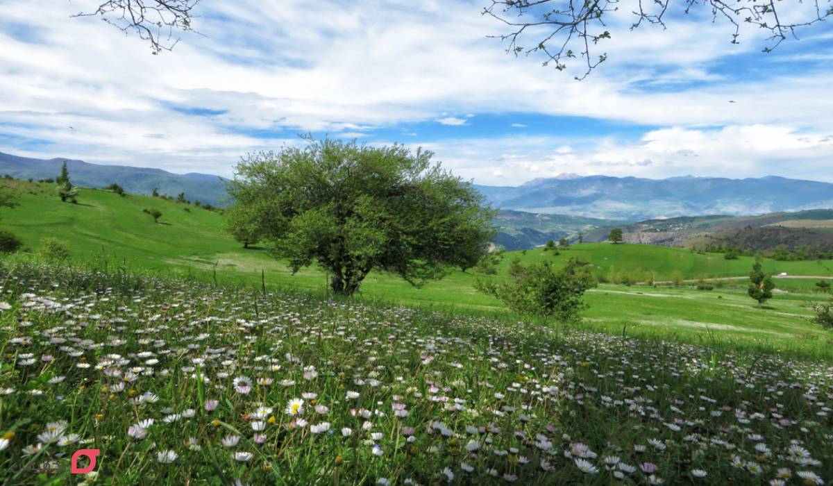 جاهای دیدنی رودبار کجاست | 12 جاذبه گردشگری سوئیس ایران 10 ییلاق سی دشت