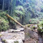 تنگه دار نوشهر | آدرس | شرایط کمپ | عکس های آمازون ایران 26 تنگه دار نوشهر