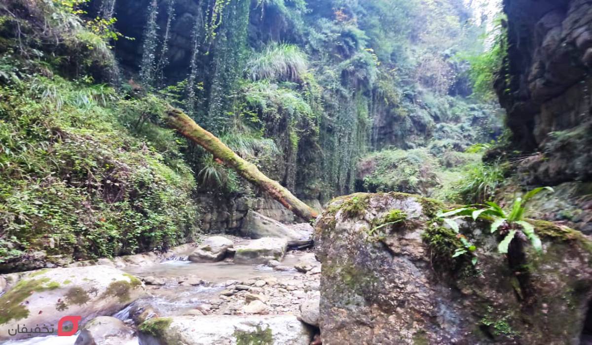 تنگه دار نوشهر