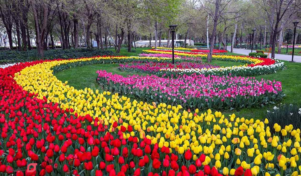 باغ گل‌ های کرمانشاه