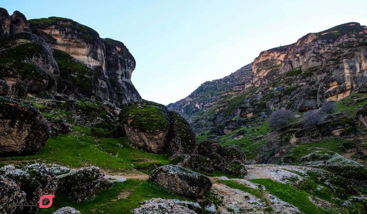 مخمل کوه