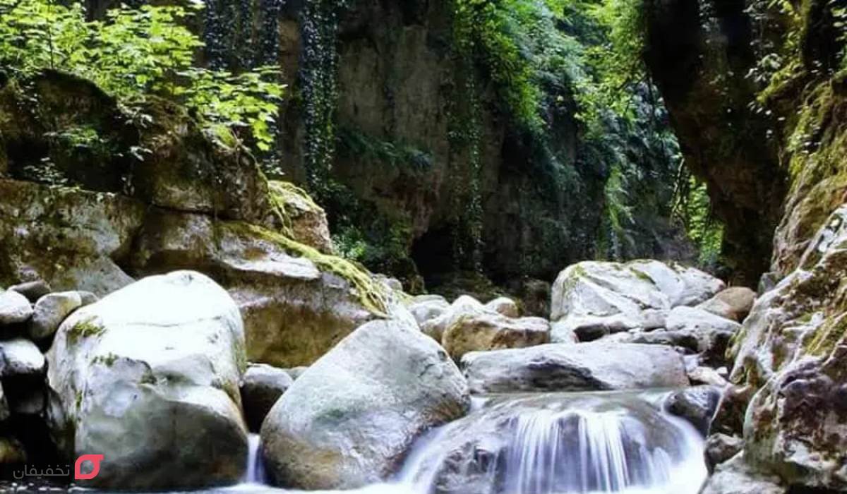 تنگه دار نوشهر | آدرس | شرایط کمپ | عکس های آمازون ایران 11 عکس تنگه دار نوشهر