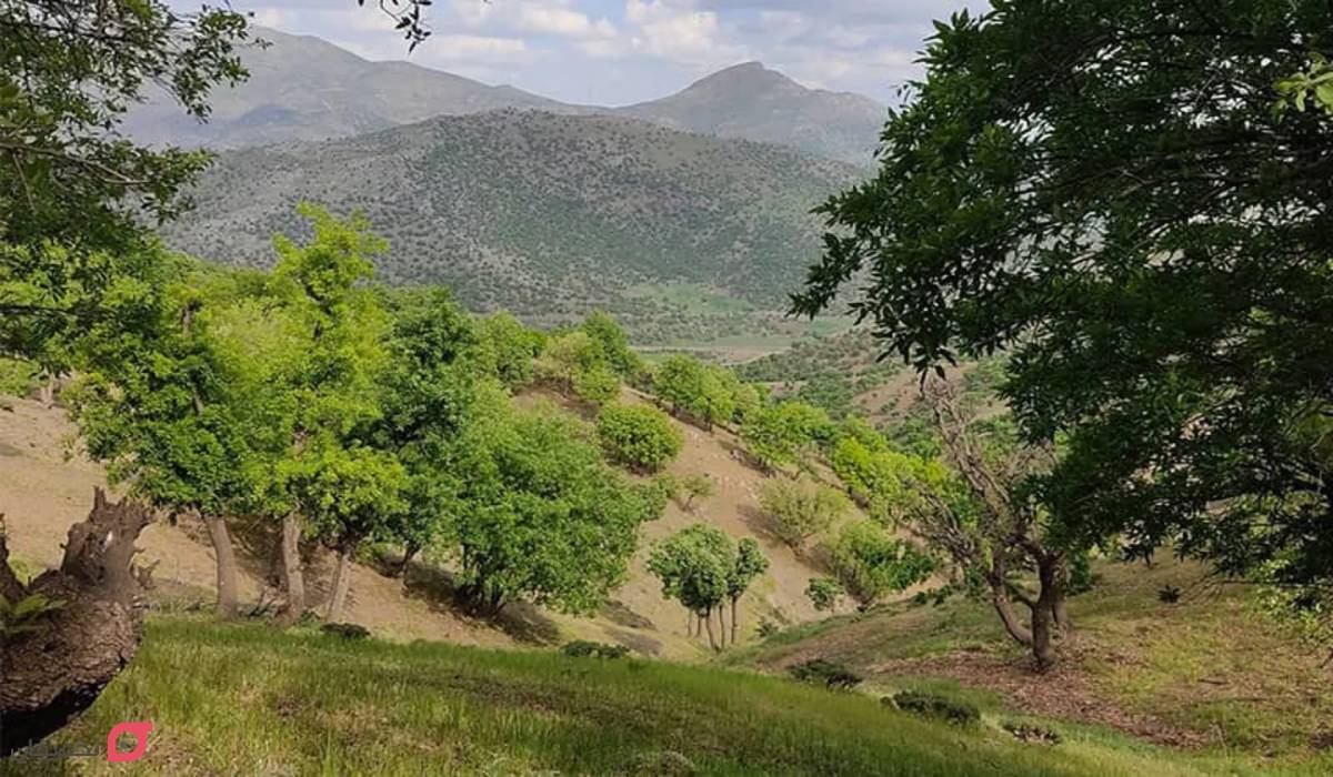 جاهای دیدنی کردستان | عکس و آدرس 22 جاذبه تاریخی و طبیعی 8 روستای نژو