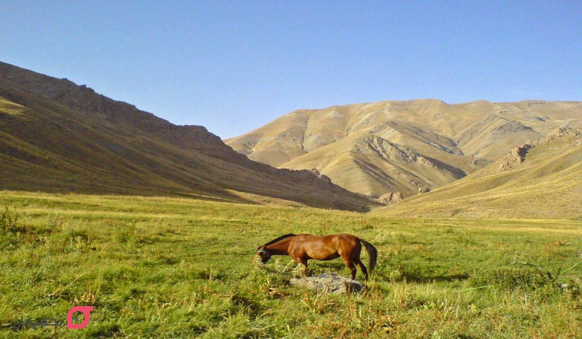 کوه چهل چشمه