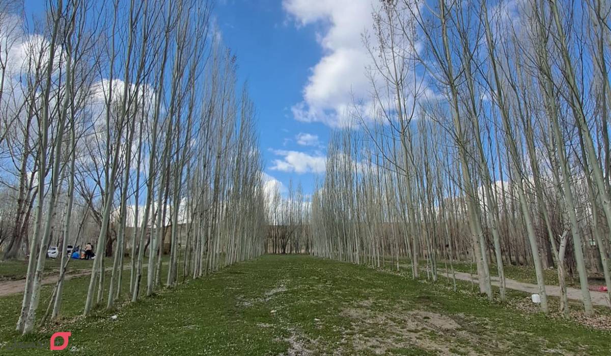 تفرجگاه بولاغلار