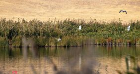 جاهای دیدنی بناب
