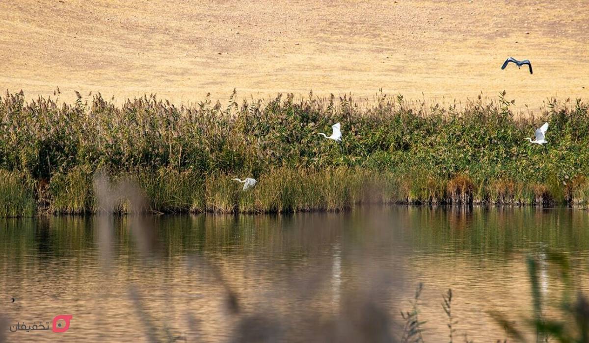 جاهای دیدنی بناب