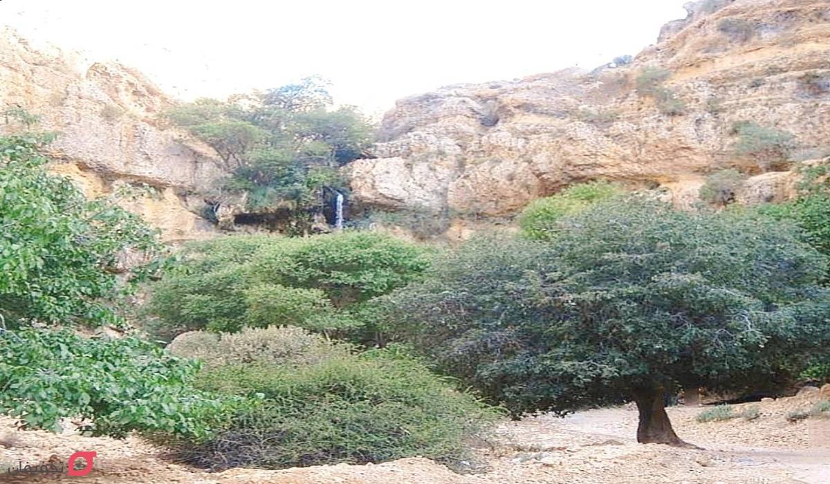 آبشار مارگون شیراز | راهنما بازدید | عکس، آدرس و مسیر دسترسی 11 آبشار چیکان