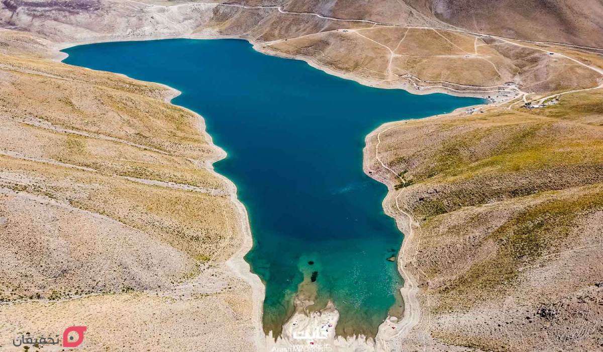 حیوانات دریاچه تار