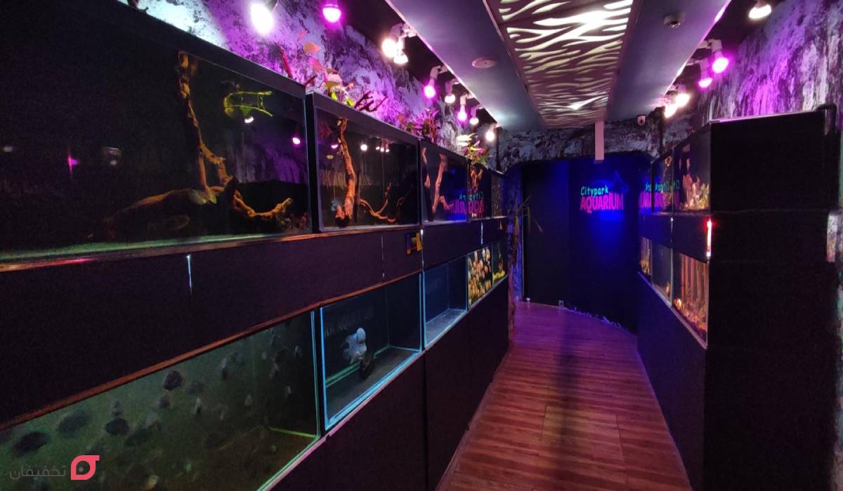 بهترین آکواریوم تهران کجاست | ساعت کار و آدرس | امکانات 6 آکواریوم پارک شهر