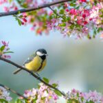 باغ پرندگان شیراز کجاست | آدرس و ساعت کاری | قیمت بلیط 1404 25 باغ پرندگان شیراز