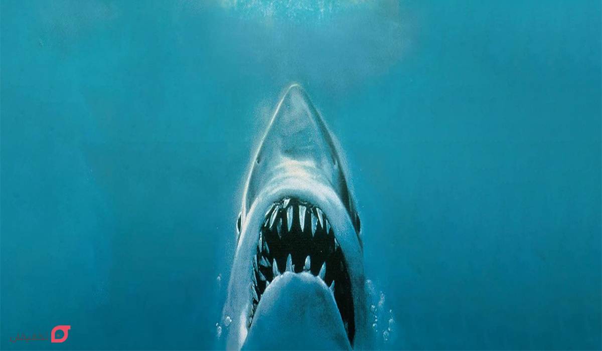 بهترین فیلم های ترسناک جهان | 10 فیلم امتیاز بالا از نظر imdb 6 فیلم آرواره ها Jaws
