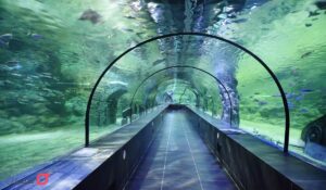 بهترین آکواریوم تهران کجاست | ساعت کار و آدرس | امکانات