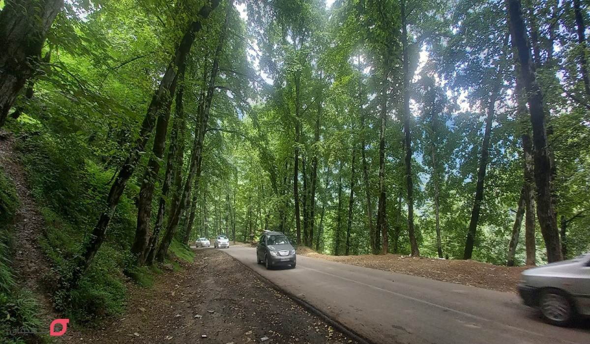 ییلاق ماسال کجاست | عکس جاهای دیدنی | بهترین ییلاق برای سفر 6 فاصله تهران تا ماسال